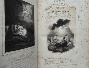 Screenshot-2025-11-11-9.17.09-PM